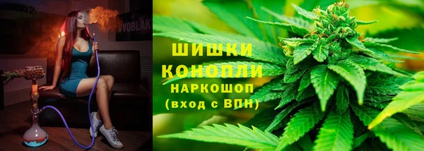 гидропоника Белокуриха