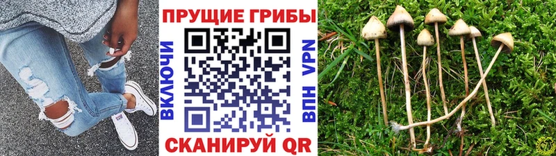 Псилоцибиновые грибы ЛСД  Реутов 